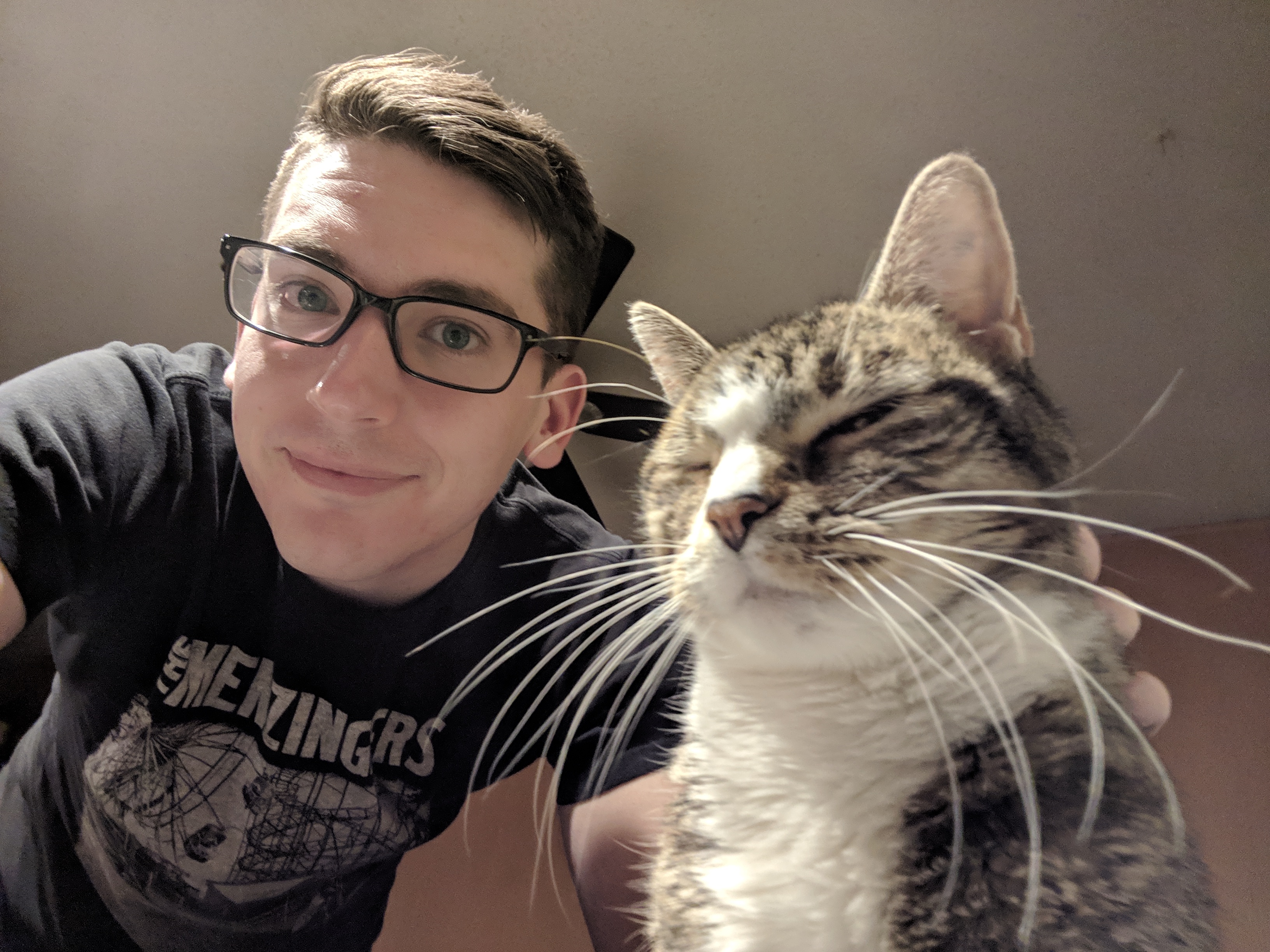 My Sister's cat Bobby