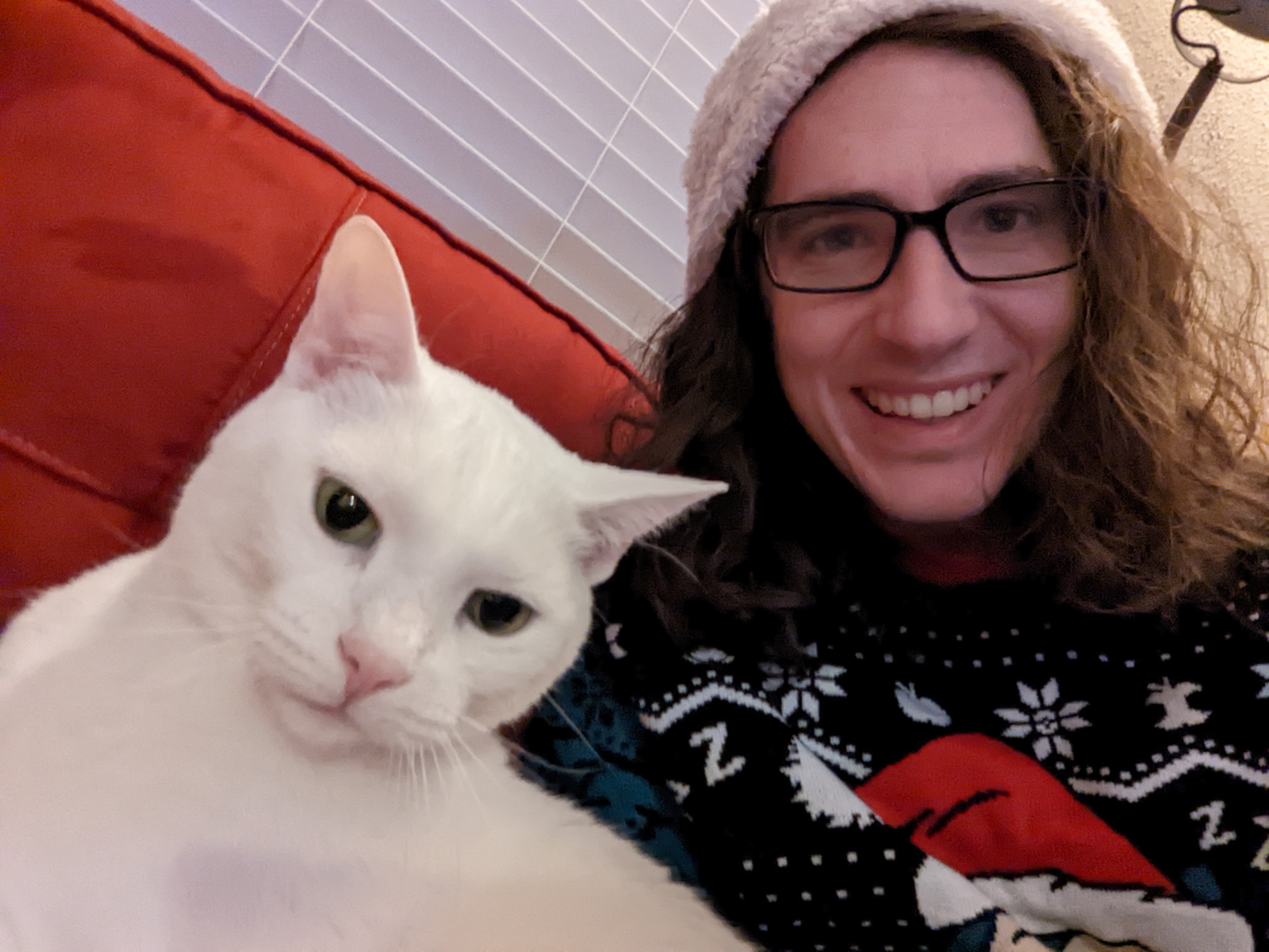 My cat Zero